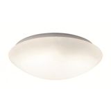 Ceiling Lamp D:250 Disc