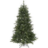 Christmas Tree Bergen