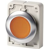 Illuminated pushbutton actuator, RMQ-Titan, flat, momentary, orange, blank, Front ring stainless steel