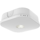 Falcon Pro DALI Surface Mounted Downlight White