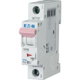 Miniature circuit breaker (MCB), 2 A, 1p, characteristic: B