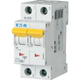 Miniature circuit breaker (MCB), 25 A, 2p, characteristic: C