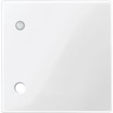 Central plate for pull button, polar white glossy, system M