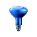 Reflector Incandescent Bulb E27 75W R95 3500K 35" blue