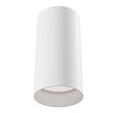 Ceiling & Wall Focus Ceiling Lamp White