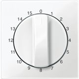 Central plate for time switch insert, 15 min, polar white, glossy, System M