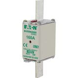 Fuse-link, low voltage, 100 A, AC 690 V, NH1, aM, IEC, dual indicator