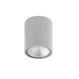 CEILING FIXTURE ORION 1xLED PX-0296-GRI FORLIGHT