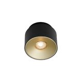 Torone | Spot light | Black