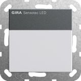 Sensotec LED w/o remote ctrl. System 55 anthra.