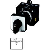 Changeover switches, T3, 32 A, rear mounting, 2 contact unit(s), Contacts: 4, 45 °, momentary/maintained, With 0 (Off) position, With spring-return to