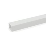 LE 3060 lgr  Channel LE, for cable storage, 2000x60x30, light gray Polyvinyl chloride