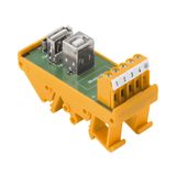 Interface module with terminal, connector, Type A female connector, Ty