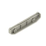 End plate, IP20 in installed state, PA 66, grey, Width: 21.5 mm