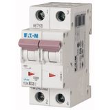 Miniature circuit breaker (MCB), 32 A, 2p, characteristic: D