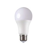 S A60 11,5WE27 RGBCCT SMART LED lamp