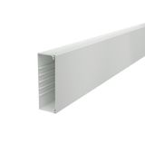 WDK60170LGR Wall trunking system with base perforation 60x170x2000