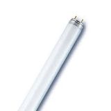 T8 18W/865 G13, Day light 6500K, Fluorescent Lamp