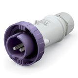 PLUG 2P IP66/IP67 32A 20-25V AC