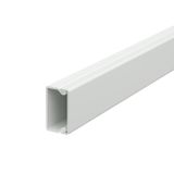 WDK15030LGR Wall trunking system with base perforation 15x30x2000