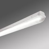 LINDA BASIC LED 1x23W, 4000K, 3435lm, IP65, grey, L=1570mm