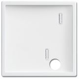 2548-046 A-84 CoverPlates (partly incl. Insert) future®, Busch-axcent®, solo®; carat® Studio white