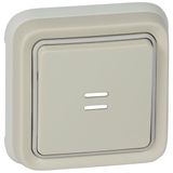 Push-button Plexo IP 55 - illuminated changeover - flush mounting - white