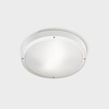 Ceiling fixture IP66 BASIC Aluminium E27 15W White