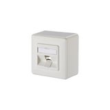 Modul wall outlet surface mounted 1 port unequipped pure white 43 mm