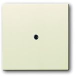 1745-82 CoverPlates (partly incl. Insert) future®, solo®; carat®; Busch-dynasty® ivory white