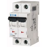 Miniature circuit breaker (MCB), 40 A, 2p, characteristic: B