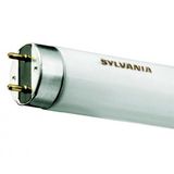 Sylvania T8 Luxline Plus F36W/830 S1L-RETAIL - 0000376