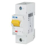 Miniature circuit breaker (MCB), 25A, 1p, D-Char, AC