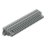 1-conductor female connector CAGE CLAMP® 2.5 mm² gray