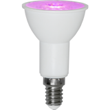 LED Lamp E14 PAR16 Plant Light