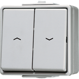 2-gang blind switch/push-button 10 AX 609VW