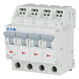 Miniature circuit breaker (MCB) with plug-in terminal, 16 A, 4p, characteristic: C