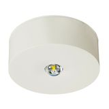 Emerg.lum.IL 1x3W ERT-LED 3h 230V AC Wireless radial surface