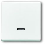 6543-84-101 CoverPlates (partly incl. Insert) future®, Busch-axcent®, solo®; carat® Studio white