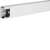 Trunking with partition PVC LF40x60mm tw