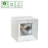 CEL ZOSMA 2 SQUARE 930 19W 230V 40DEG WHITE VIVID NATURAL