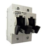 TYTAN II, D02 Fuse switch disconnector, 2-pole, 63A