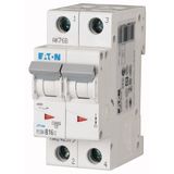 Miniature circuit breaker (MCB), 16 A, 2p, characteristic: B