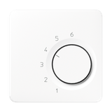 centre plate for room thermostat insert