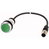 Pushbutton, classic, flat, maintained, 1 N/O, green, cable (black) with m12a plug, 4 pole, 0.2 m