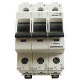 Main Load-Break Switch (Isolator) 125A, 3-pole