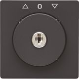 Centre plate lock key switch blinds imprint Berker Q.x black