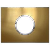 Arteor™ - Plate - Italian / US std - round - 2 modules - gold brass