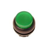 Illuminated pushbutton actuator, RMQ-Titan, Extended, maintained, green, Blank, Bezel: black