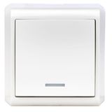 One-way switch illuminated, screw clamps, VISIO IP20, white